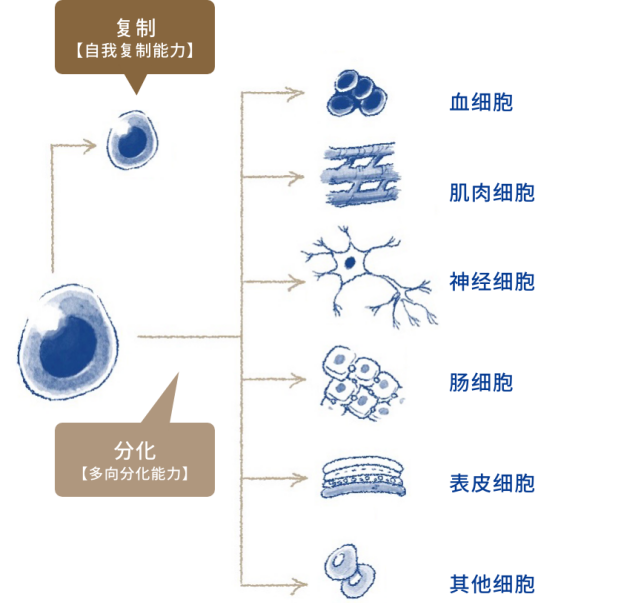 图片15.png
